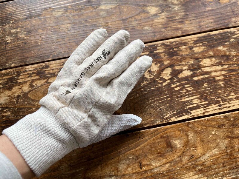 セリアの「ガーデングローブ（レディースタイプ）」をつけてみた