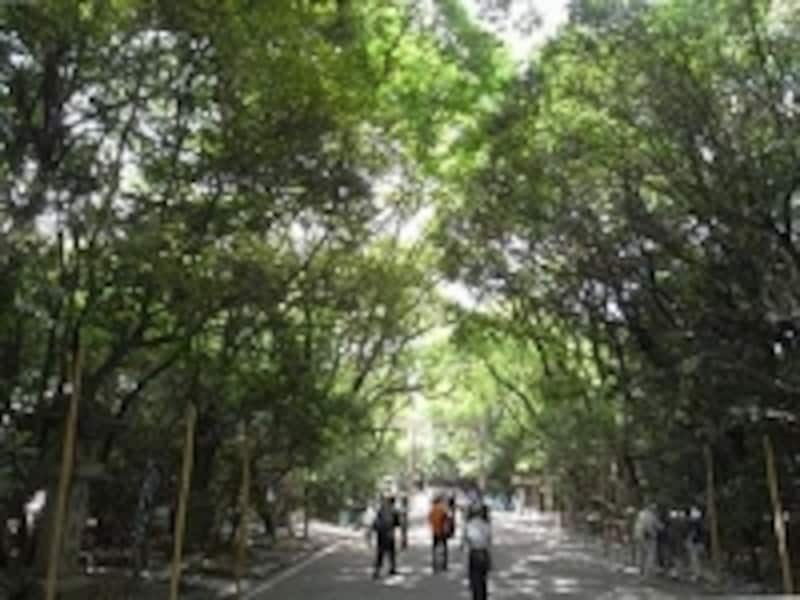 都会のオアシスとも言うべき厳かかつ清々しい“あつたの杜”