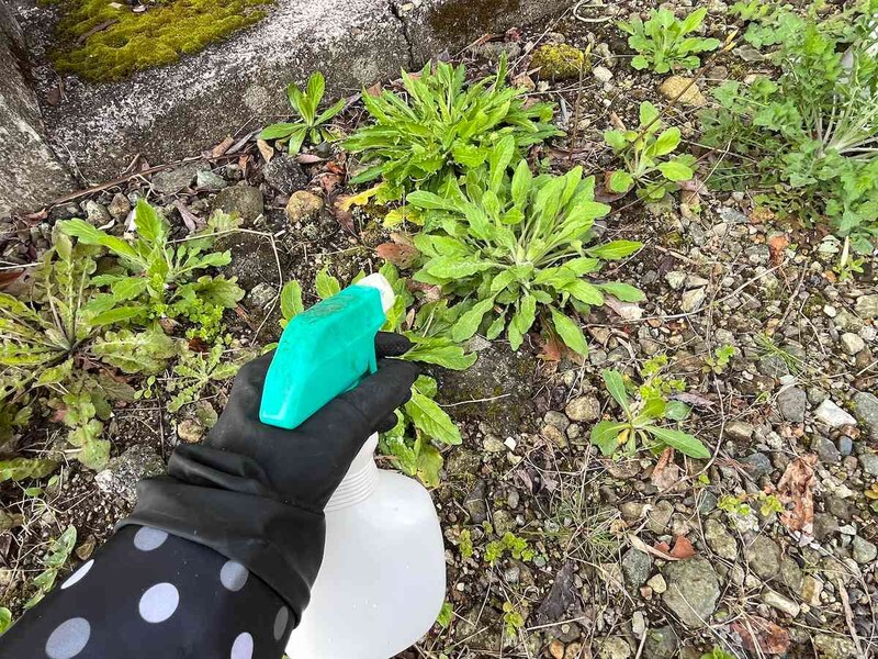 ダイソーの「薄めて使う！除草剤」は4倍に薄めて使う