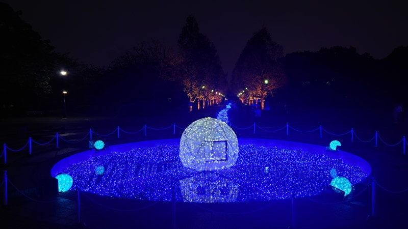 舎人公園・花と光のムーブメント（1）