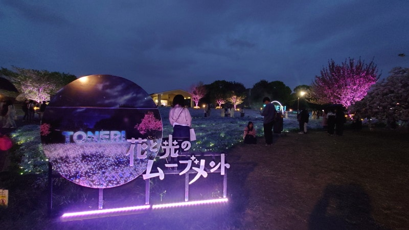 舎人公園・花と光のムーブメント（2）