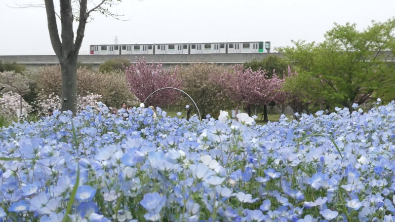 日暮里・舎人ライナー