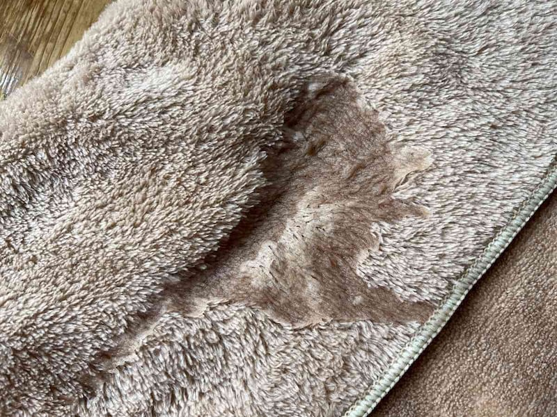 ダイソーの「ふわふわバスタオル」は水を一瞬で吸い取る