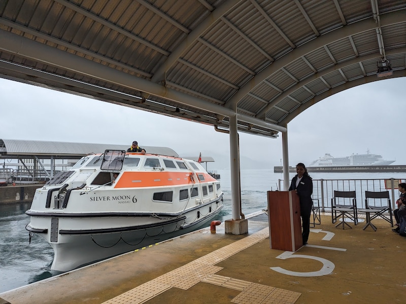 シルバー・ムーン