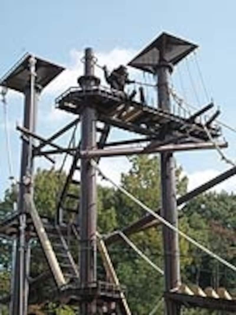 2008年秋に完成したチンパンジータワー