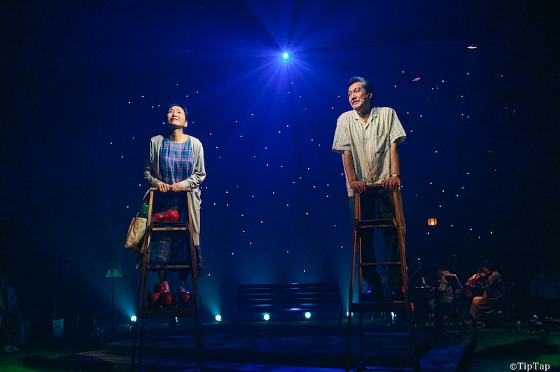 『星の夜ほど夜を数えて』写真提供：TipTap