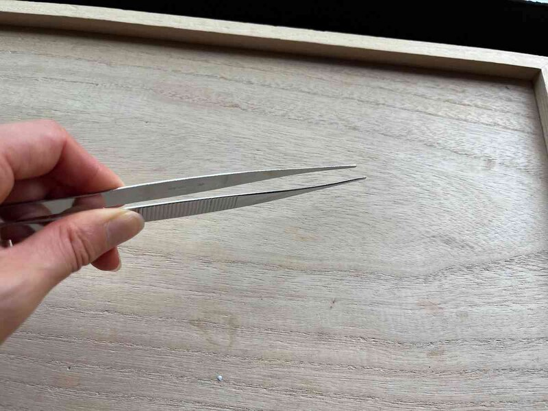 ダイソーの「ピンセット（直型、185mm）」の長さで扱いやすい