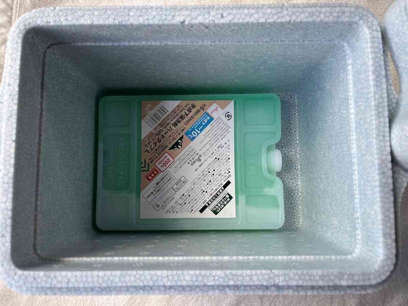 ダイソーの「発泡クーラーBOX（4.8L、グレーカラー）」は保冷剤も入れやすい