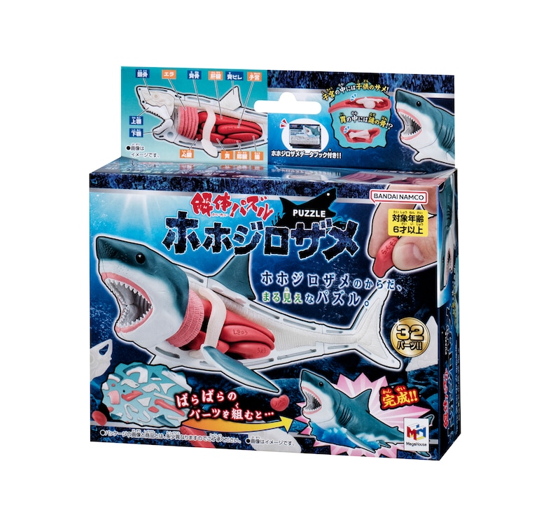 解体パズル ホホジロザメ