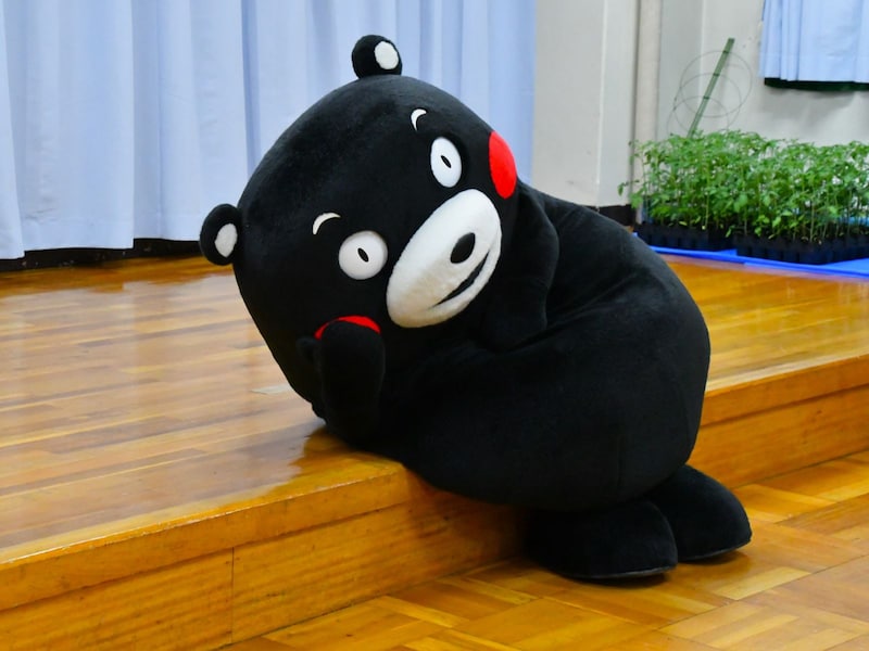 湯島幼稚園＝5月31日、東京都文京区