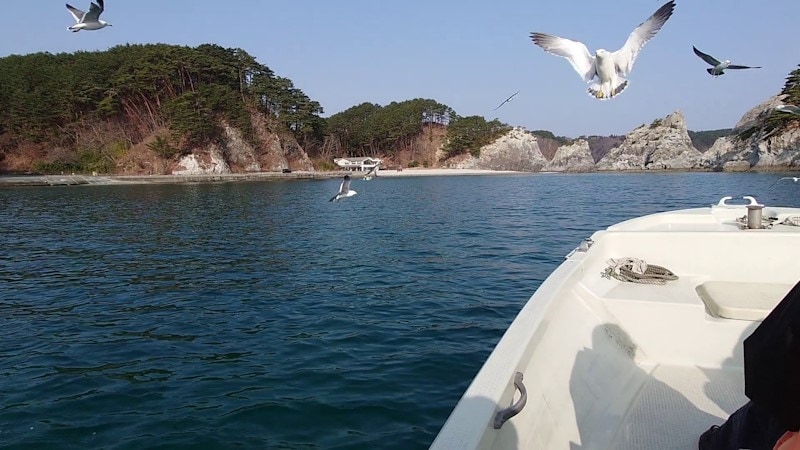 さっば舟から浄土ヶ浜の岩々を望む(1)