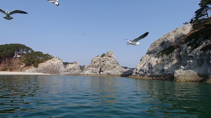 さっば舟から浄土ヶ浜の岩々を望む(2)