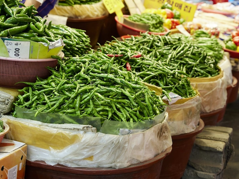 韓国の辛い文化