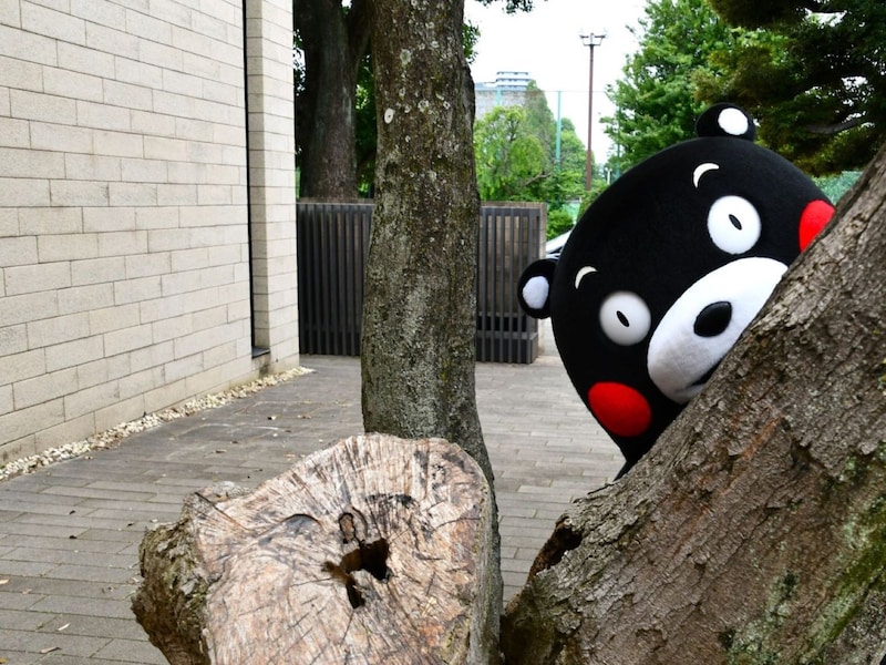 BSフジ＝6月15日、東京都港区