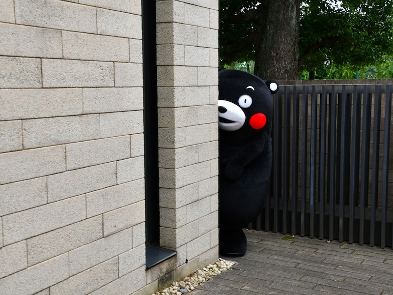 BSフジ＝6月15日、東京都港区