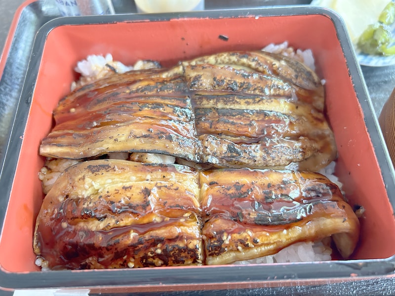 なすの蒲焼重