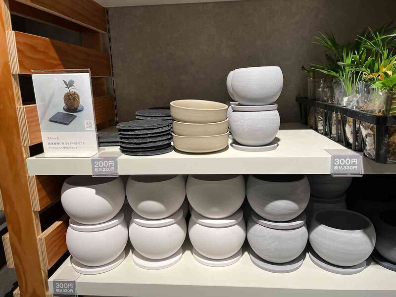 ころんとした形の陶器の植木鉢