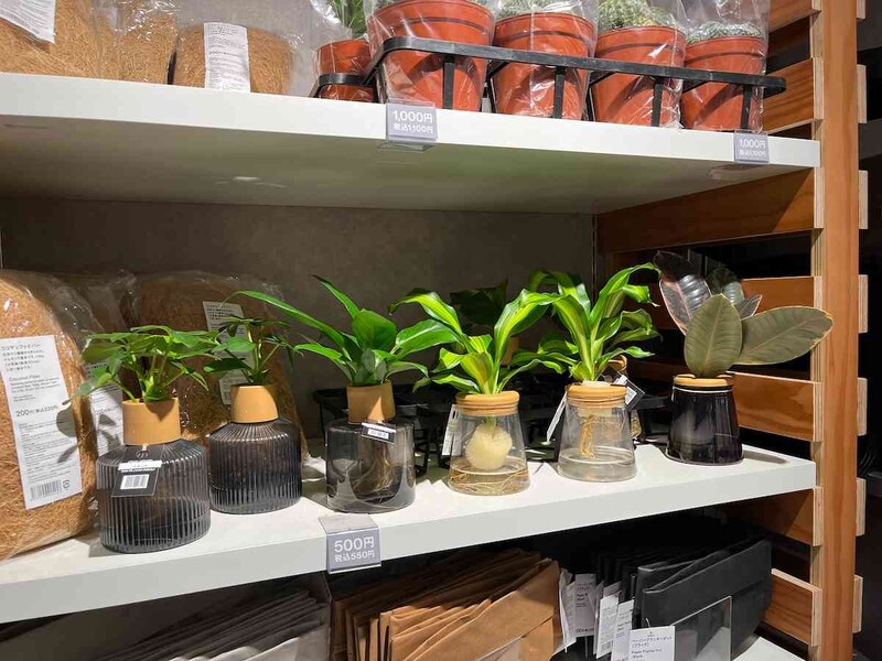 スタンダードプロダクツの「水耕栽培用鉢」