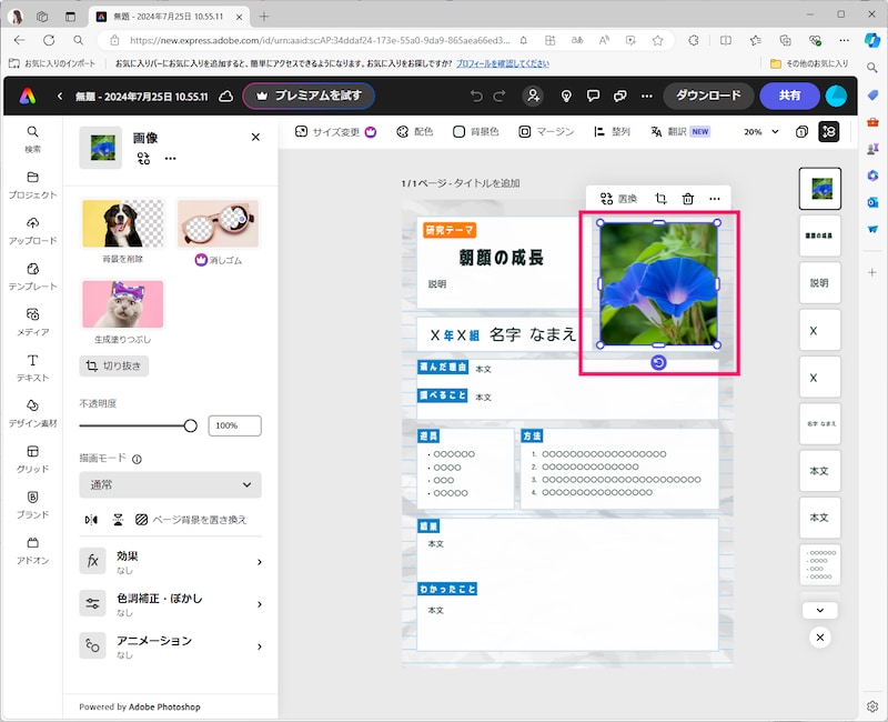 大きさや位置を整えます。左メニューから「切り抜き」などの編集もできます(出所:筆者)