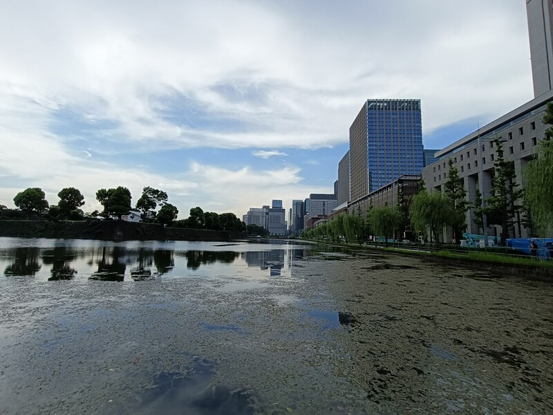 カメラ作例（超広角）