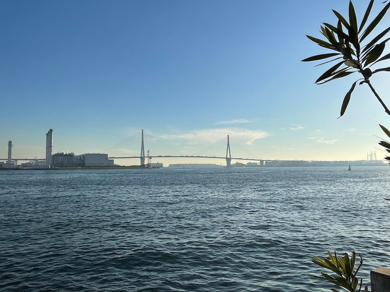 「海芝公園」からの眺望