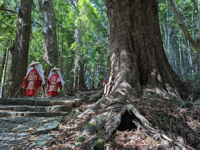 ジャパネットクルーズ