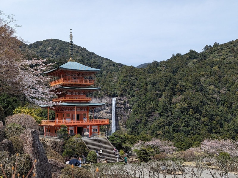 ジャパネットクルーズ