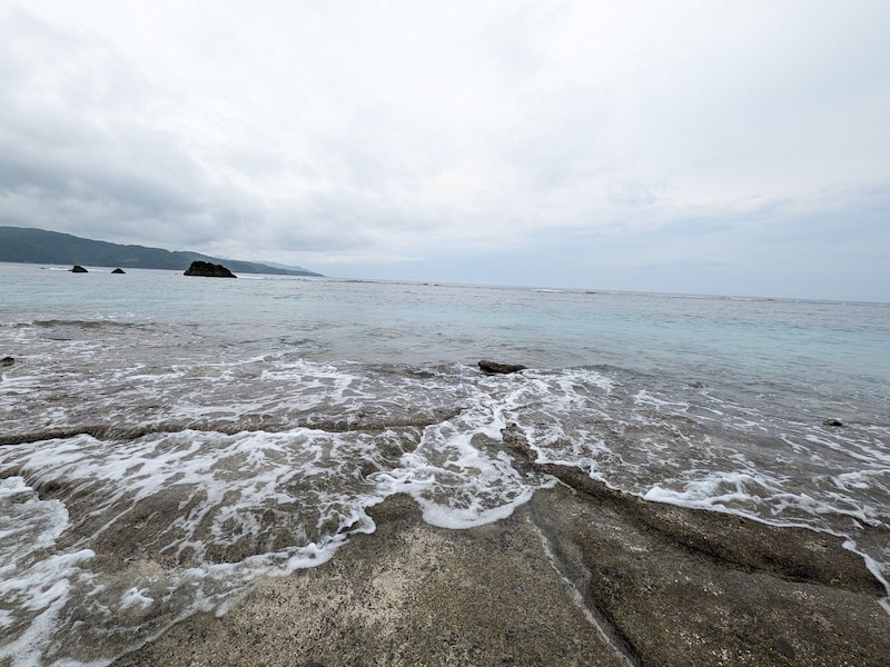 ジャパネットクルーズ