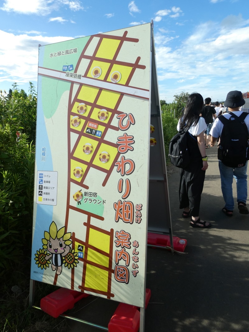 座間のひまわり畑の案内図