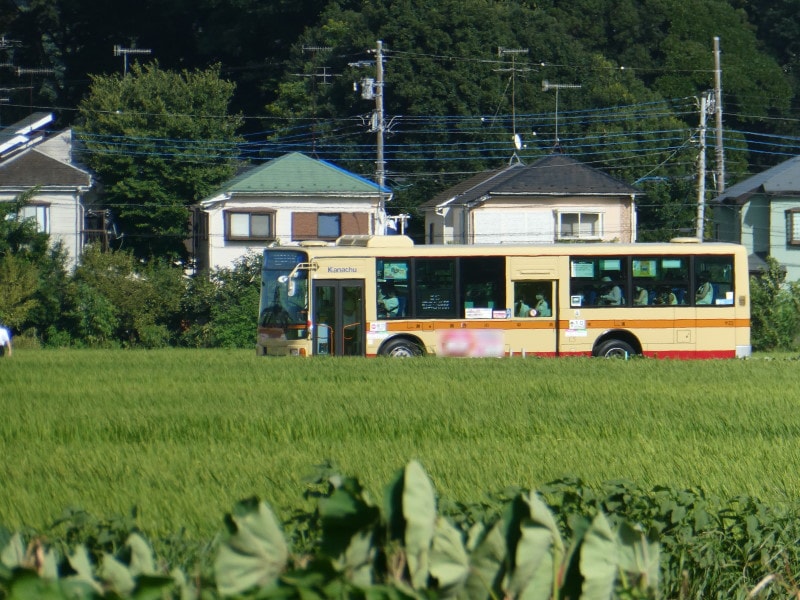 会場直行臨時バス
