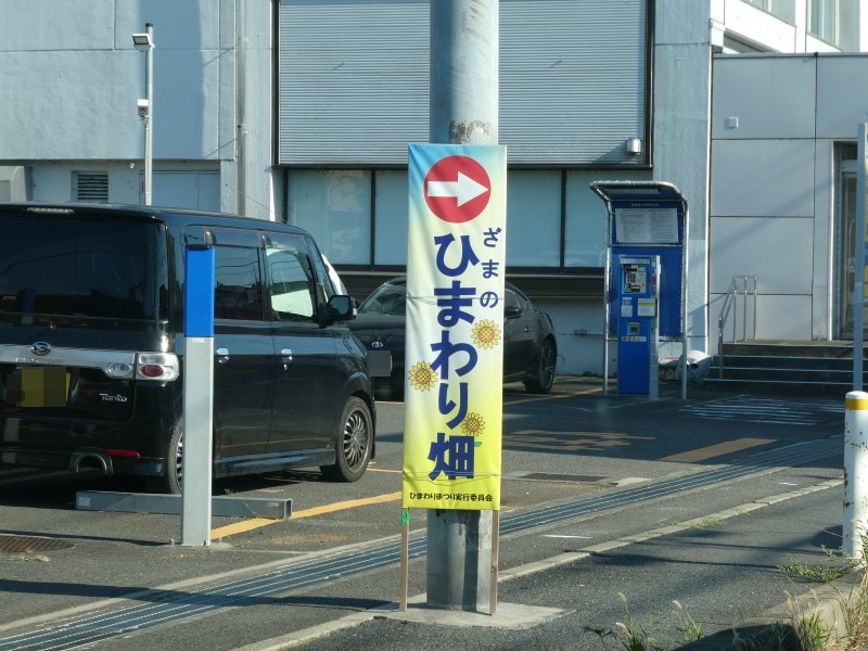 座間のひまわり畑への案内看板