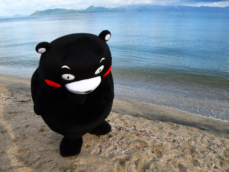 海岸でゴミ探し（7月22日、熊本県葦北郡芦北町）