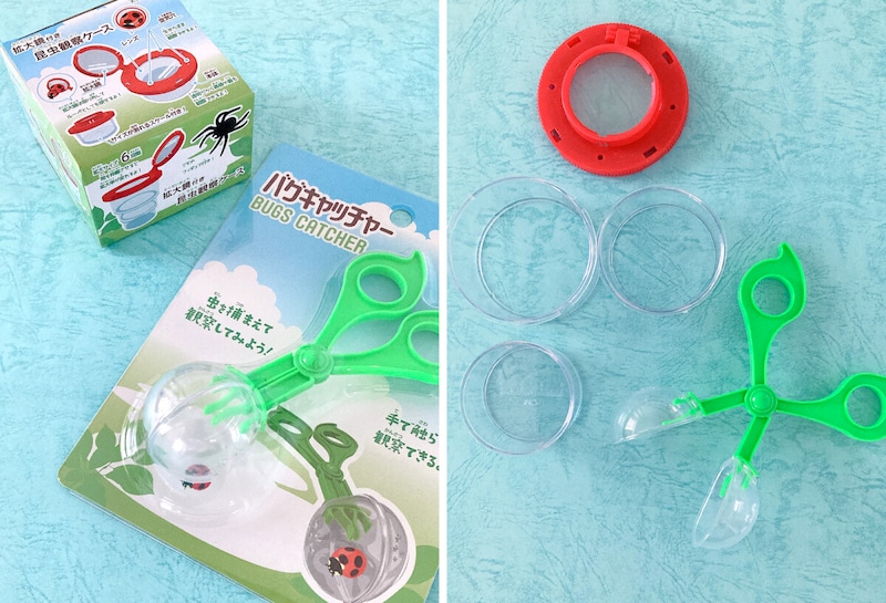 セリア、DAISOの自由研究キットが便利