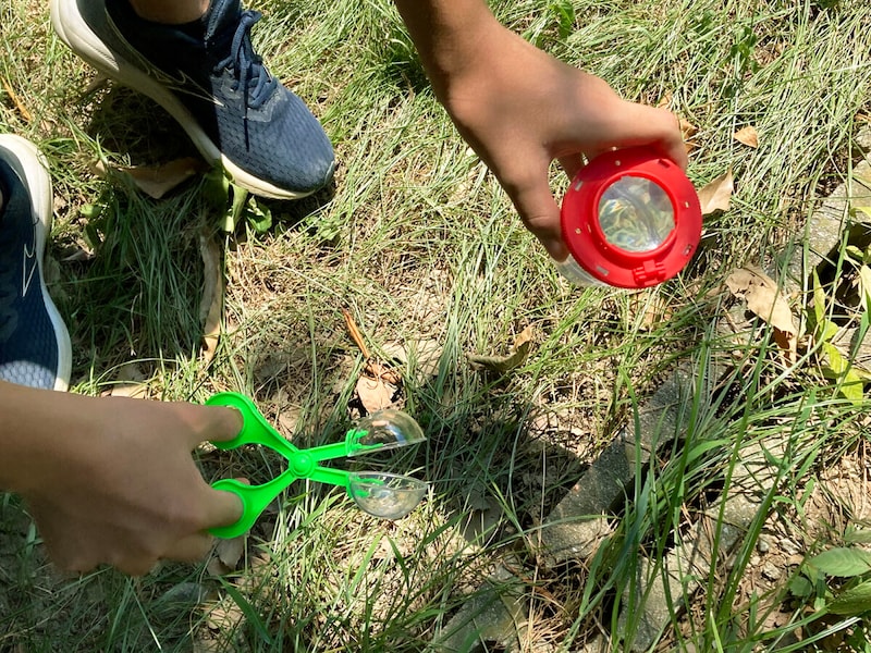 セリア、DAISOの自由研究キットが便利