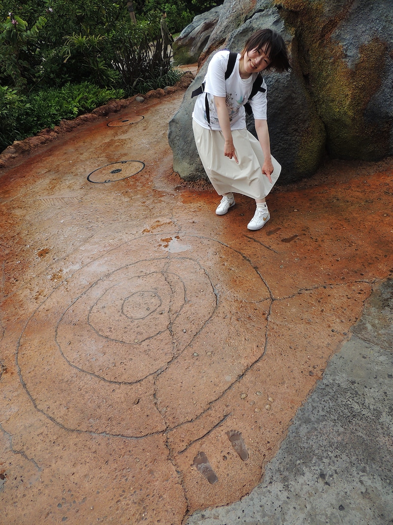 ピーターパンのネバーランド