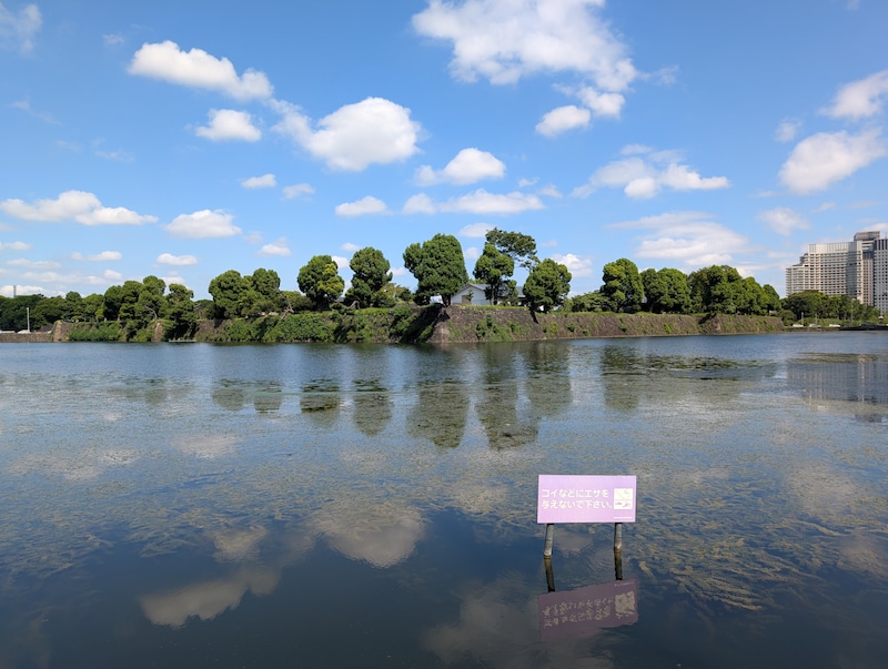 カメラ作例（広角）