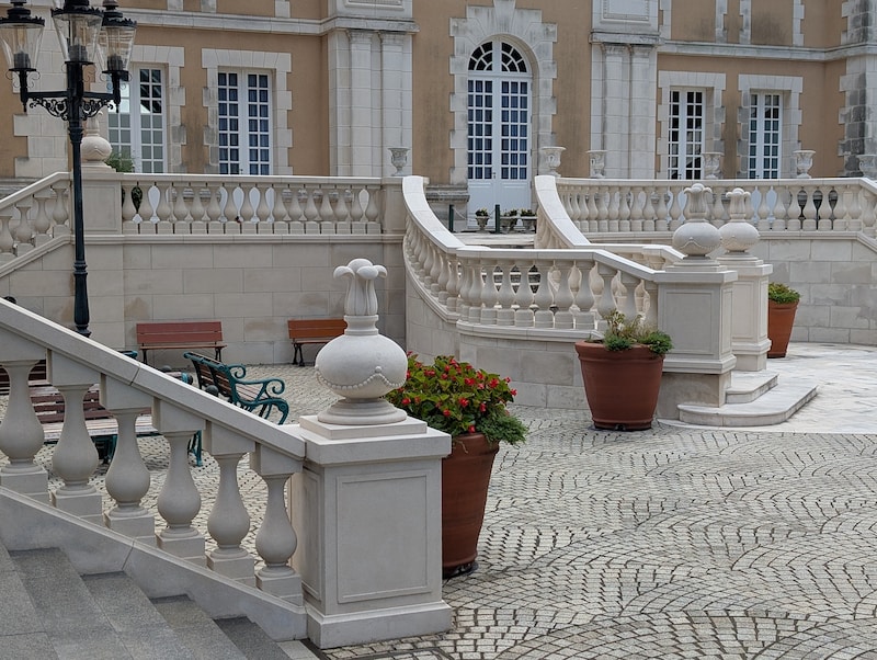 カメラ作例（光学2倍）