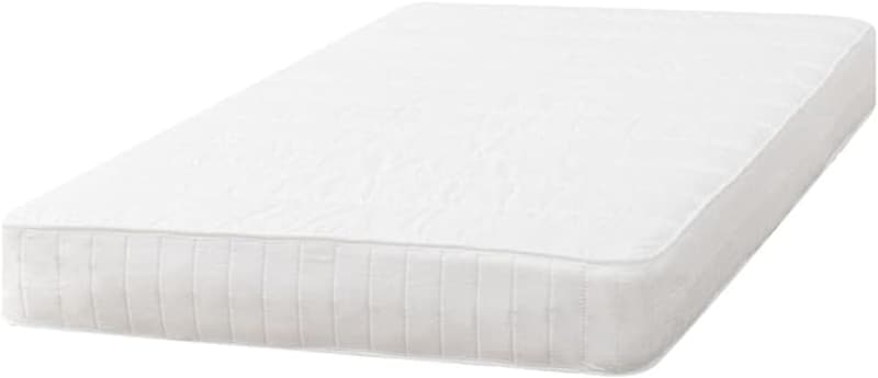 ��ŵ��Amazon