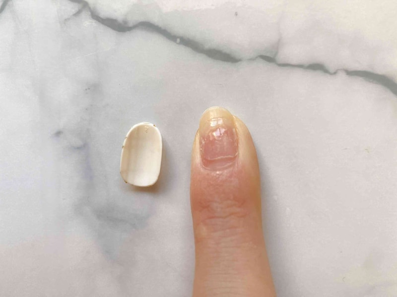 ���奷������ޤ�Ž��ȡ����ޤ˥����뤬�Ĥ�