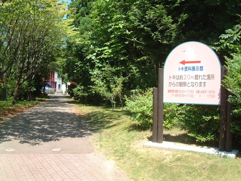 佐渡市トキの森公園の中にあるトキ資料展示館