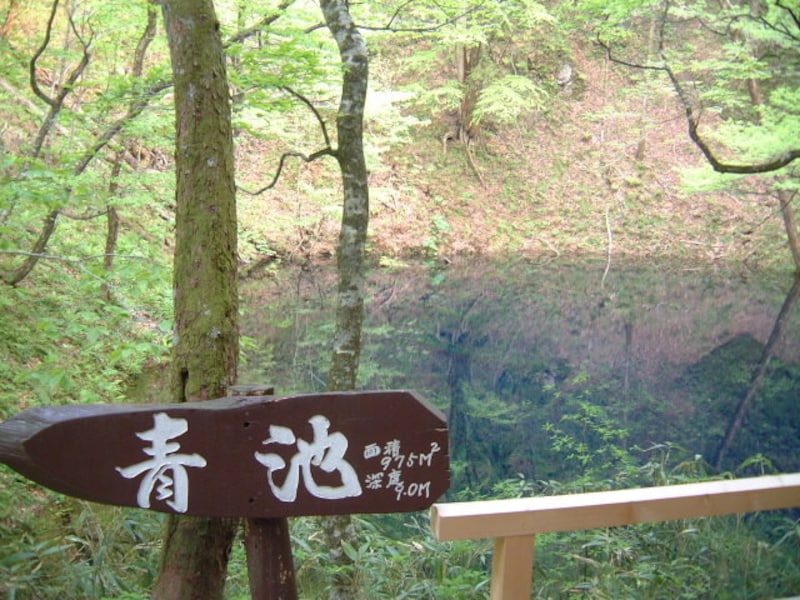 【青森】十二湖・青池