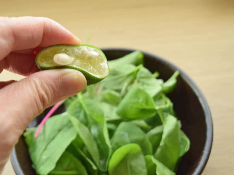 かぼすとすだち