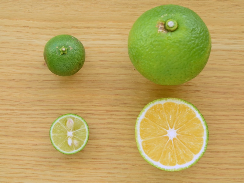 かぼすとすだち