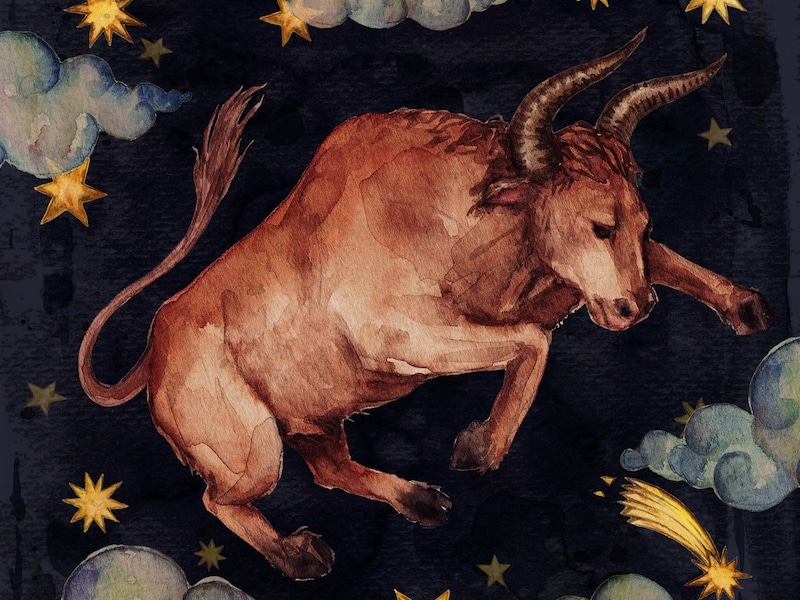 おうし座の性格、恋愛グセ、向いている仕事は？