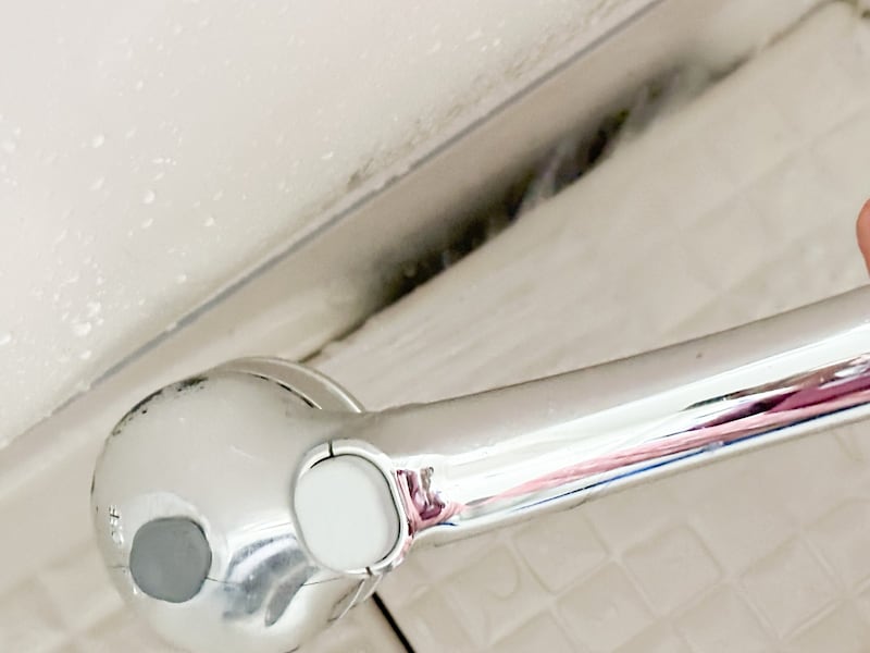 毎日の最後に真水をたっぷり流す