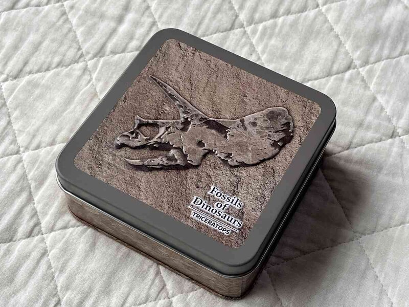 セリアの「デザイン缶 恐竜」