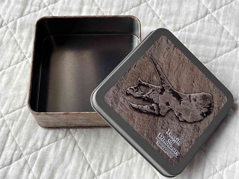 セリアの「デザイン缶 恐竜」は恐竜好きさんに喜ばれる