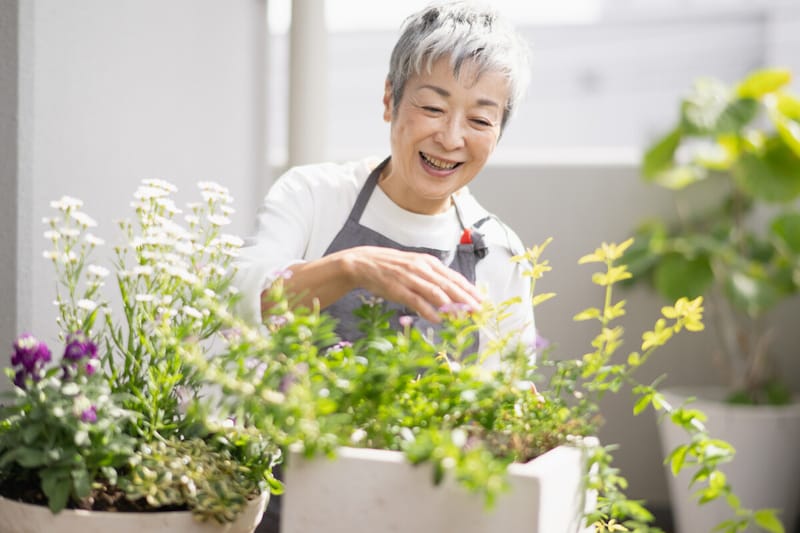 60代年金女性