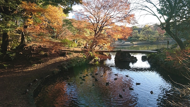 六義園の紅葉（2）