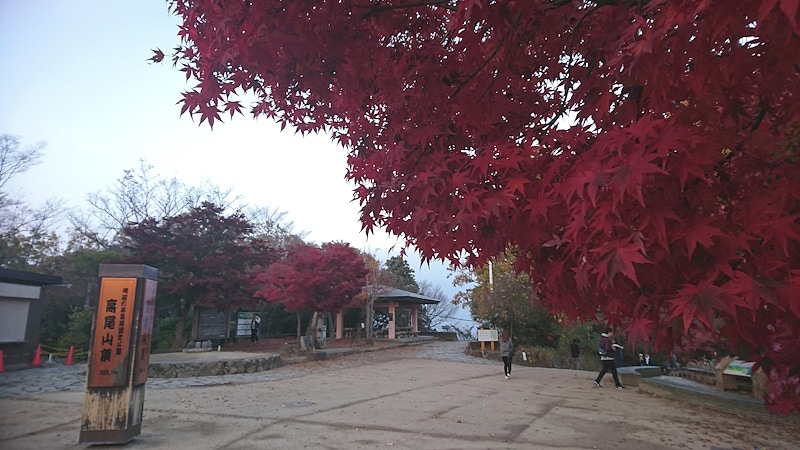 高尾山／山頂の紅葉